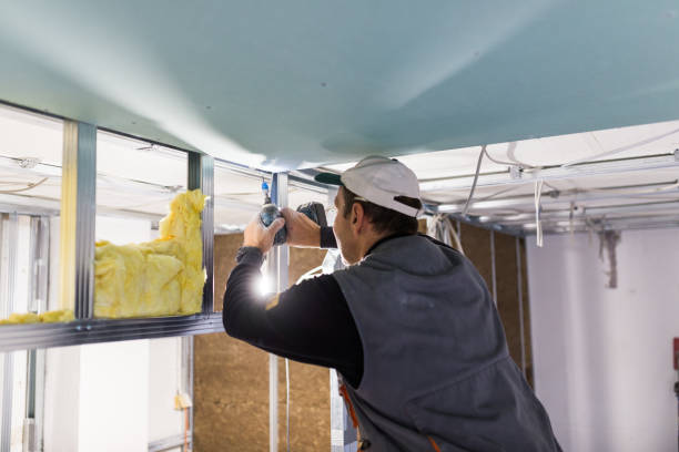 Best Eco-Friendly Insulation in North Kansas City, MO