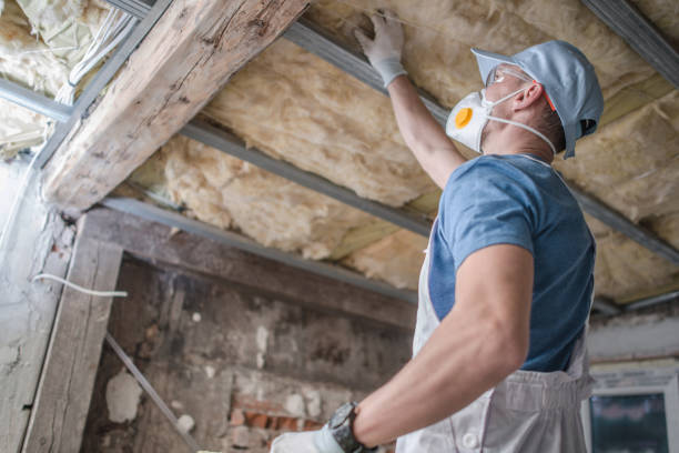 Best Insulation Maintenance and Repair in North Kansas City, MO